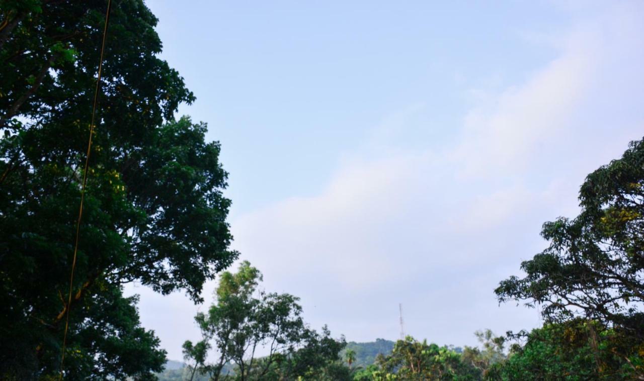 Ceylon Saradiel Home Stay Mawanella Eksteriør billede