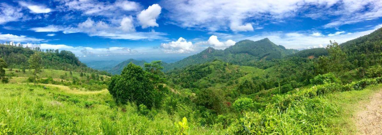 Ceylon Saradiel Home Stay Mawanella Eksteriør billede